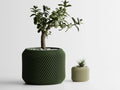 Vasos Geométricos 3D para Plantas Interior